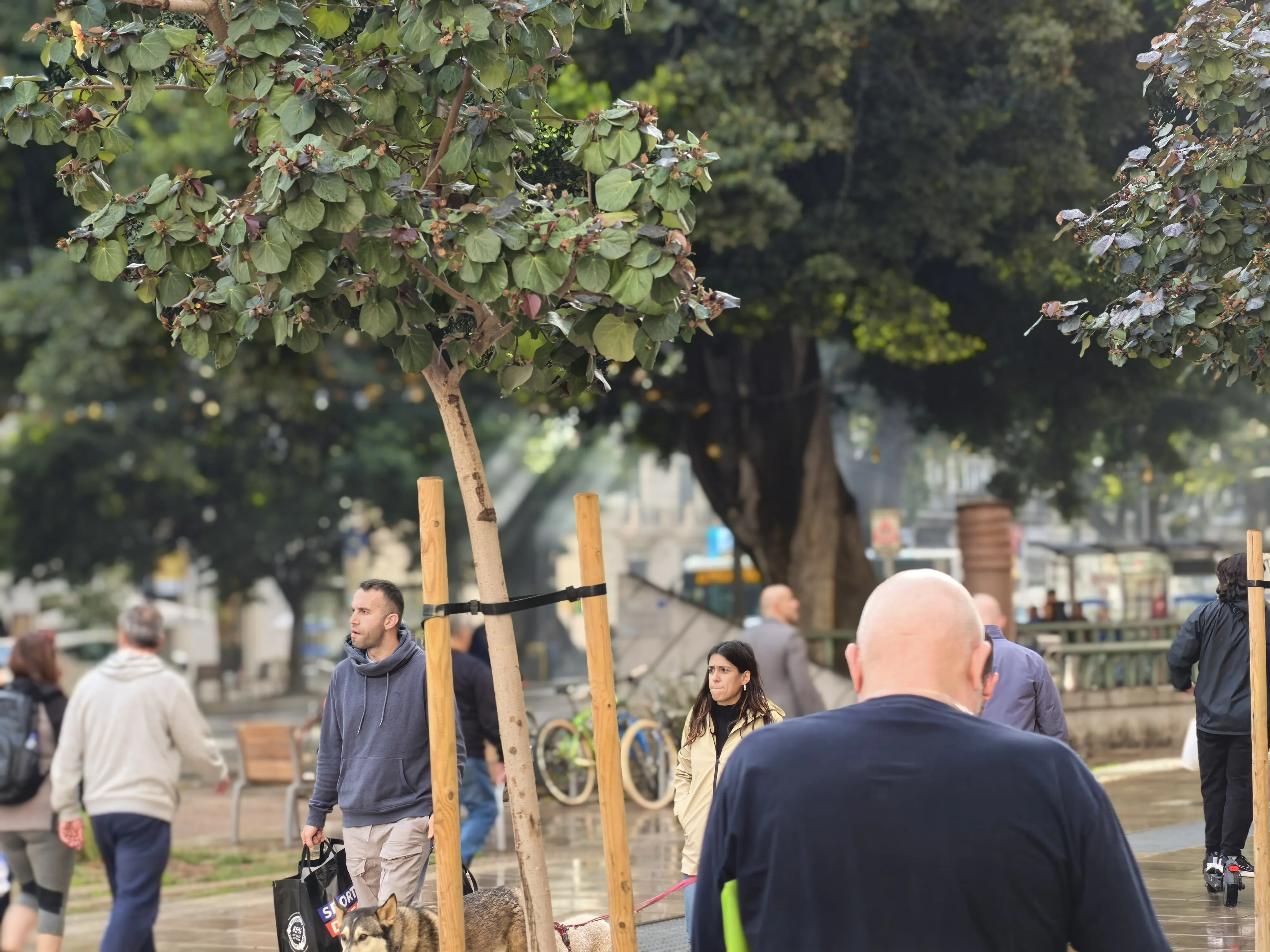 HUAWEI Pura 70 Ultra - System Aparatów - IMG_20251117_163722.webp